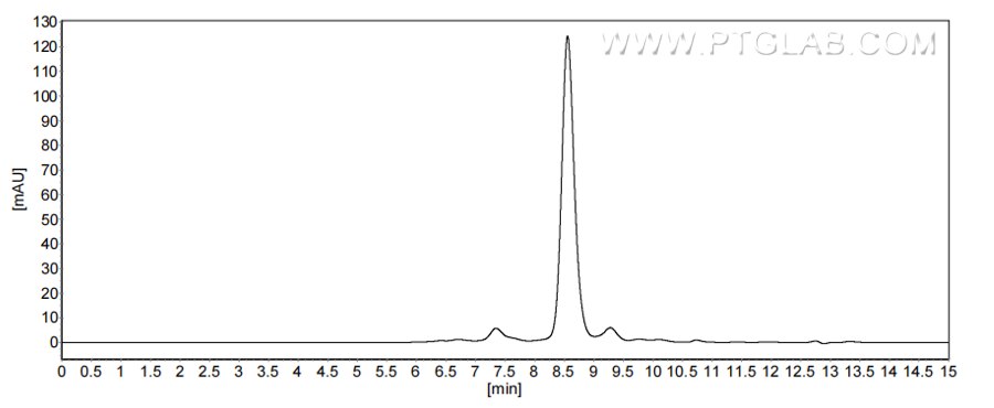 The purity of Human KLK6 was greater than 90% as determined by SEC-HPLC.