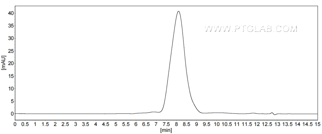 The purity of Mouse TIM-3 was greater than 90% as determined by SEC-HPLC.