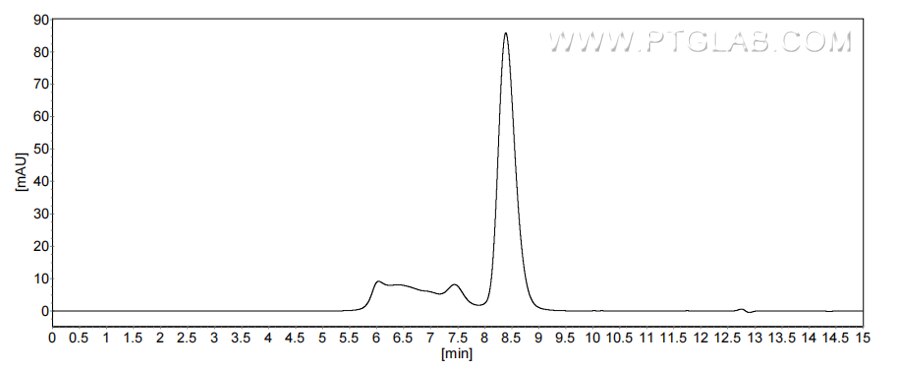 The purity of Mouse IL-19 was greater than 90% as determined by SEC-HPLC.