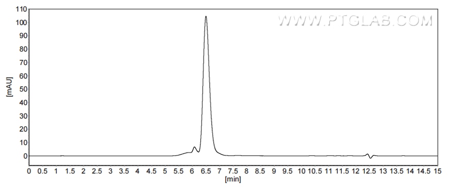 The purity of Mouse Epha6 was greater than 90% as determined by SEC-HPLC. The purity of Mouse Epha6 was greater than 90% as determined by SEC-HPLC.