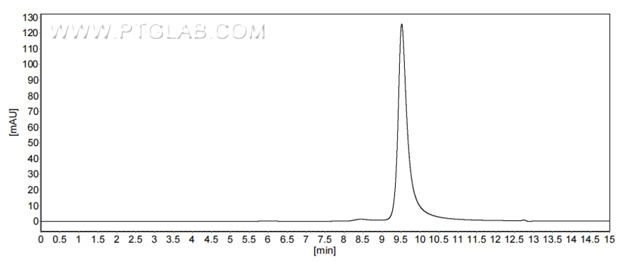 The purity of Human CCL15 was greater than 90% as determined by SEC-HPLC.
