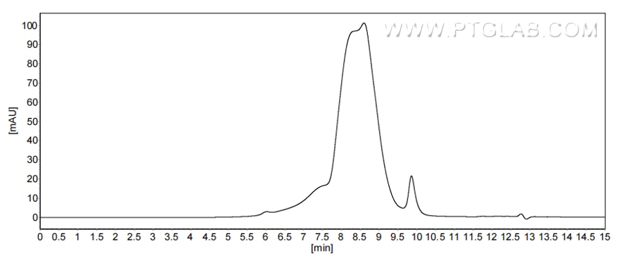 The purity of Human INSL4 was greater than 90% as determined by SEC-HPLC. The purity of Human INSL4 was greater than 90% as determined by SEC-HPLC.