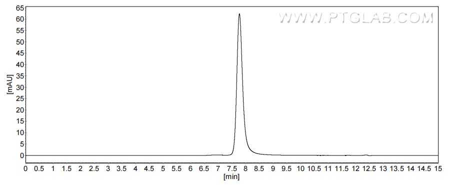 The purity of Human REG3A was greater than 90% as determined by SEC-HPLC.