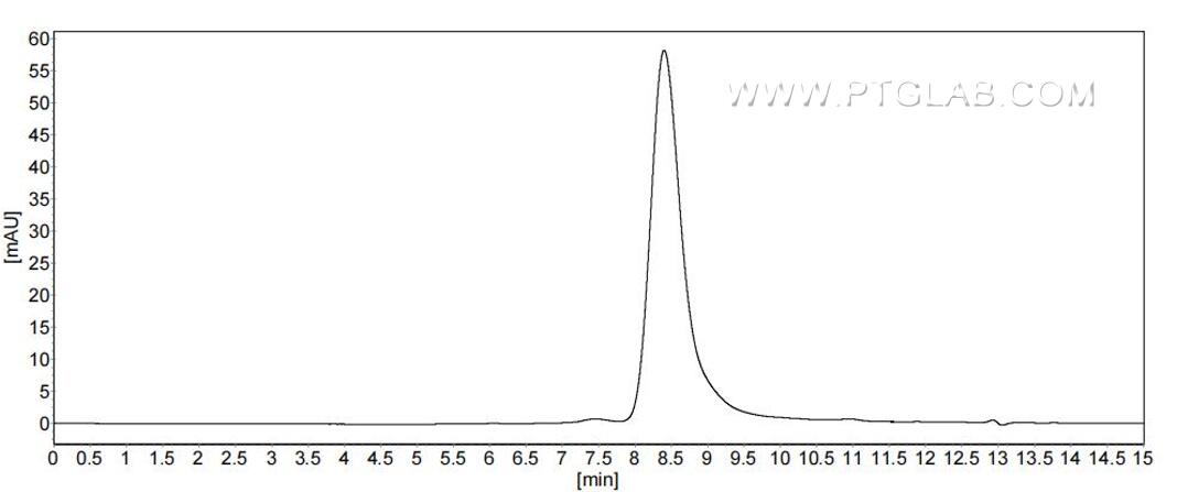 The purity of Mouse Betacellulin was greater than 90% as determined by SEC-HPLC. The purity of Mouse Betacellulin was greater than 90% as determined by SEC-HPLC.