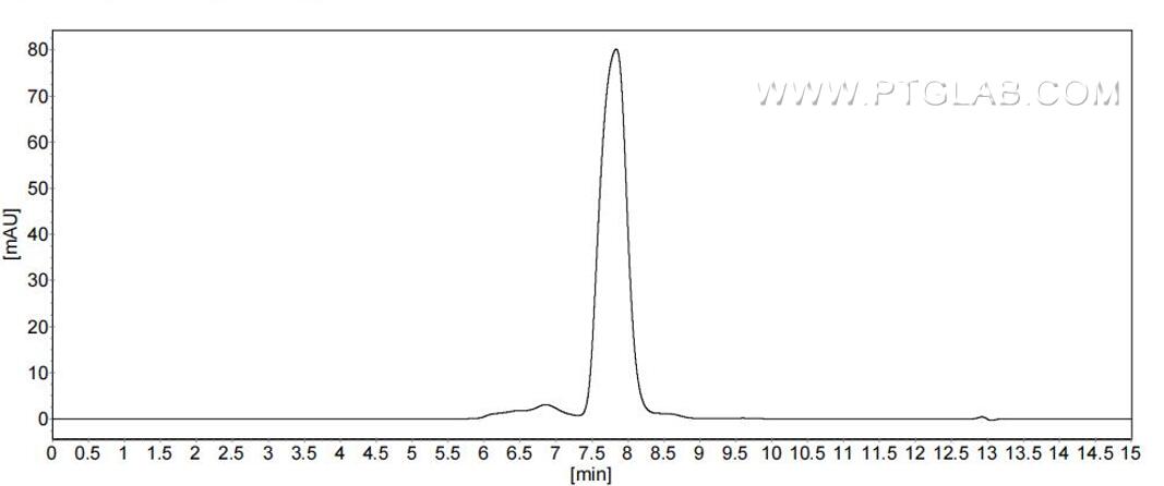 The purity of Human IFNAR2 was greater than 90% as determined by SEC-HPLC.