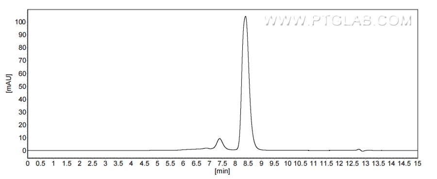The purity of Human NBL1 was greater than 90% as determined by SEC-HPLC.
