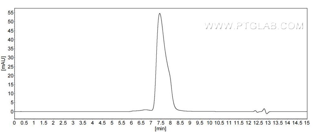 The purity of Mouse IL-1R2 was greater than 90% as determined by SEC-HPLC.