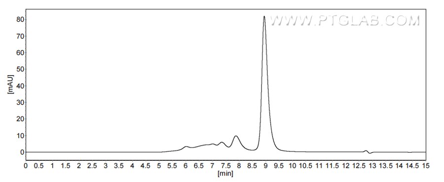 The purity of Mouse TIMP2 was greater than 90% as determined by SEC-HPLC.