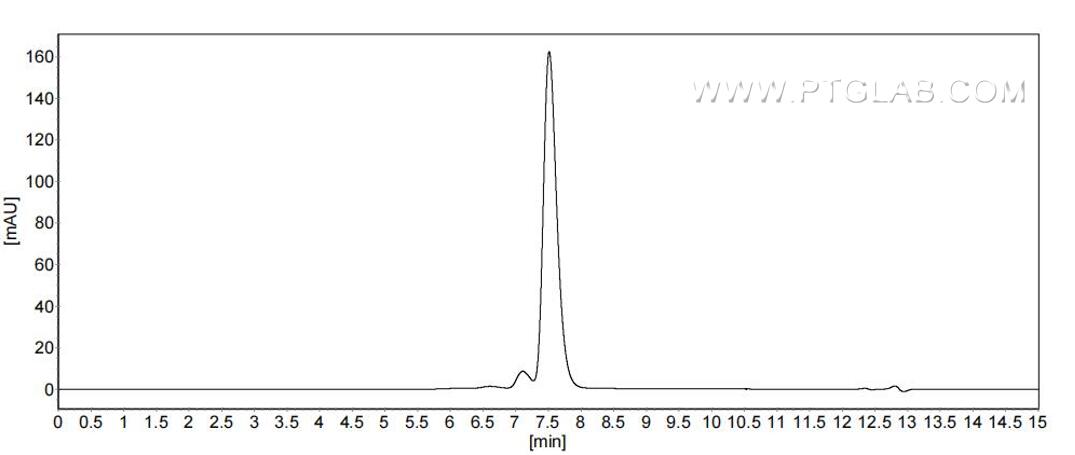 The purity of Human Carbonic Anhydrase 6 was greater than 90% as determined by SEC-HPLC.