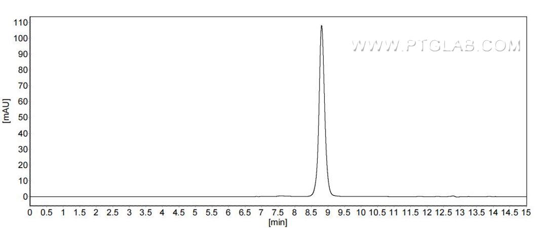 The purity of Mouse Mup1 was greater than 90% as determined by SEC-HPLC. The purity of Mouse Mup1 was greater than 90% as determined by SEC-HPLC.