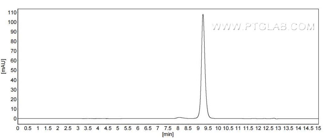 The purity of Human PLA2G1B was greater than 90% as determined by SEC-HPLC. The purity of Human PLA2G1B was greater than 90% as determined by SEC-HPLC.