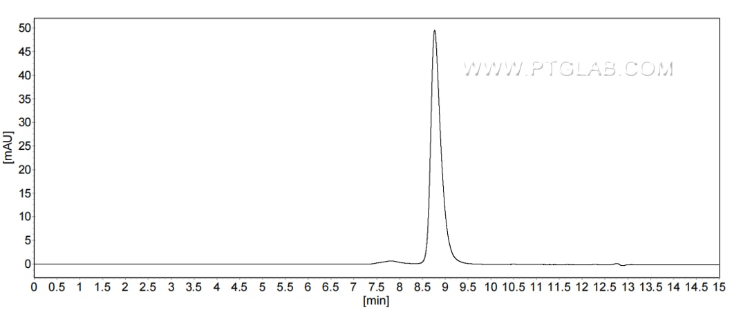 The purity of Mouse IFN-alpha 2 was greater than 90% as determined by SEC-HPLC.