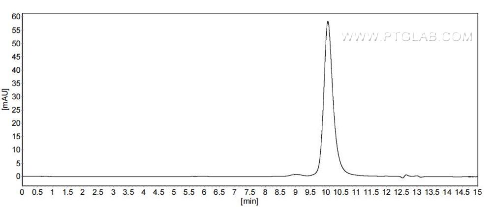 The purity of Human SMR3B was greater than 90% as determined by SEC-HPLC.