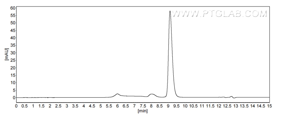 The purity of Human IFNA17 was greater than 90% as determined by SEC-HPLC.