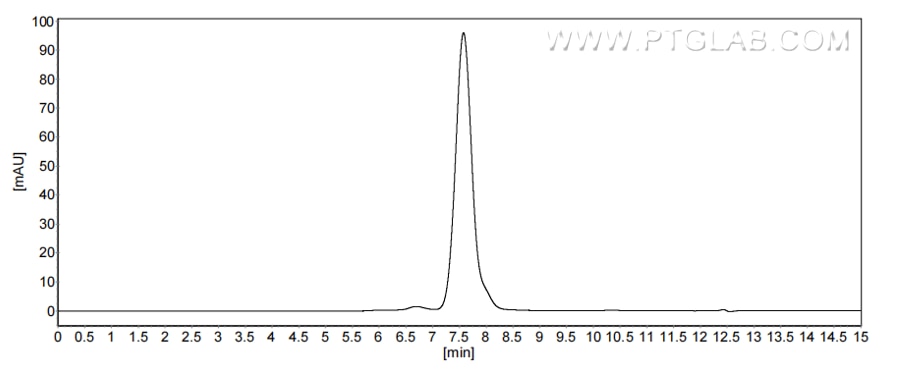 The purity of Human MerTK was greater than 90% as determined by SEC-HPLC.