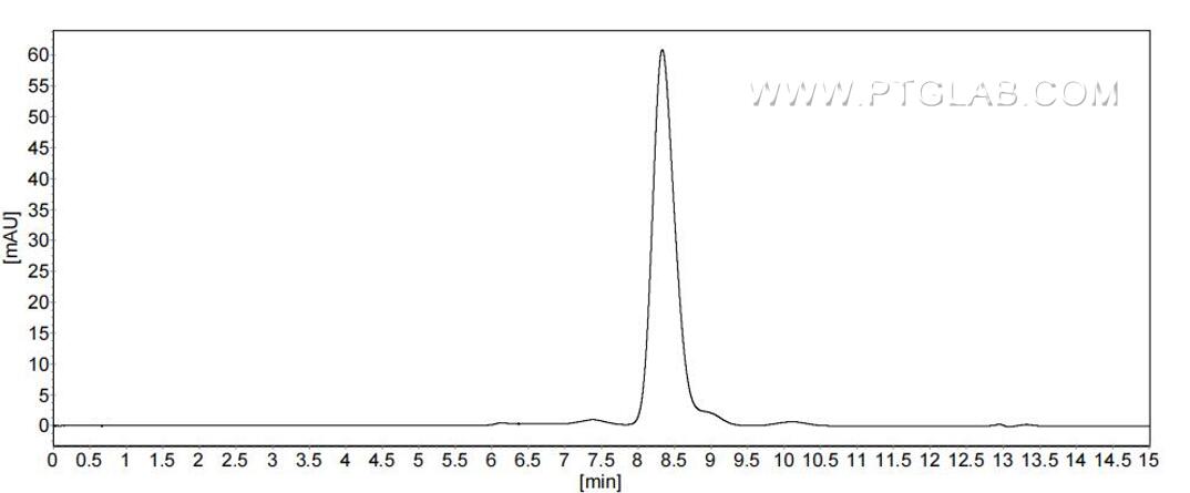 The purity of Human FOLR3 was greater than 90% as determined by SEC-HPLC. The purity of Human FOLR3 was greater than 90% as determined by SEC-HPLC.