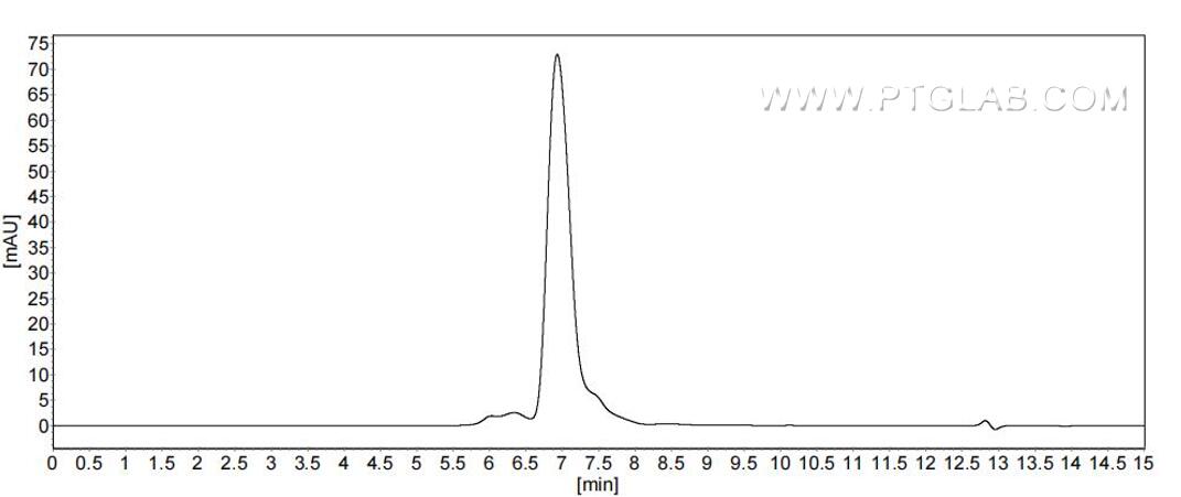 The purity of Rat TrkA was greater than 90% as determined by SEC-HPLC. The purity of Rat TrkA was greater than 90% as determined by SEC-HPLC.