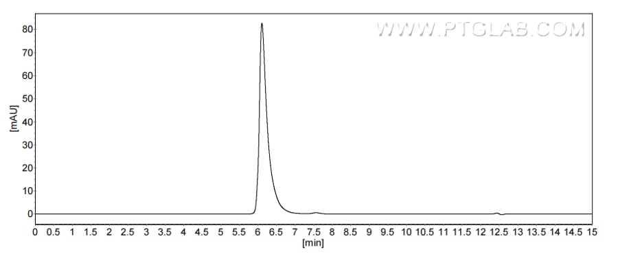 The purity of Rat NCAM-1/CD56 was greater than 90% as determined by SEC-HPLC.