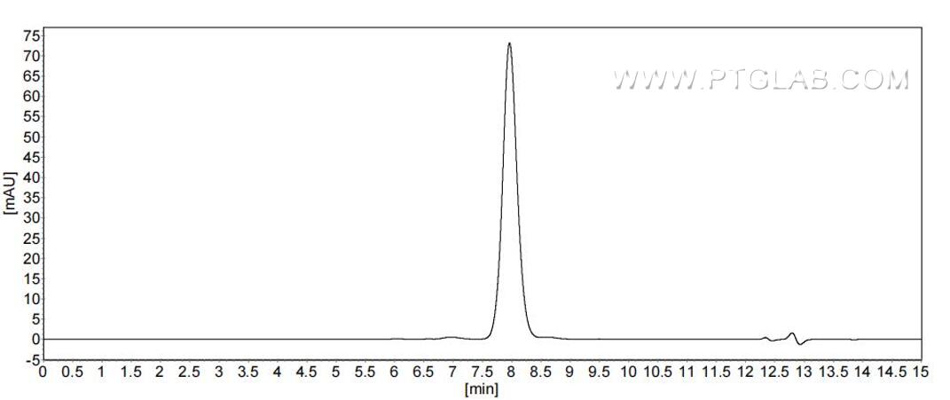 The purity of Rat Angiotensinogen was greater than 90% as determined by SEC-HPLC.
