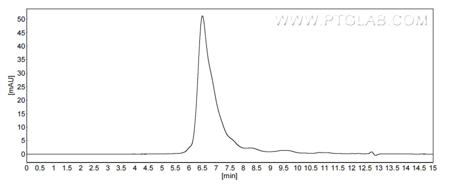 The purity of Rat CX3CL1 was greater than 90% as determined by SEC-HPLC.