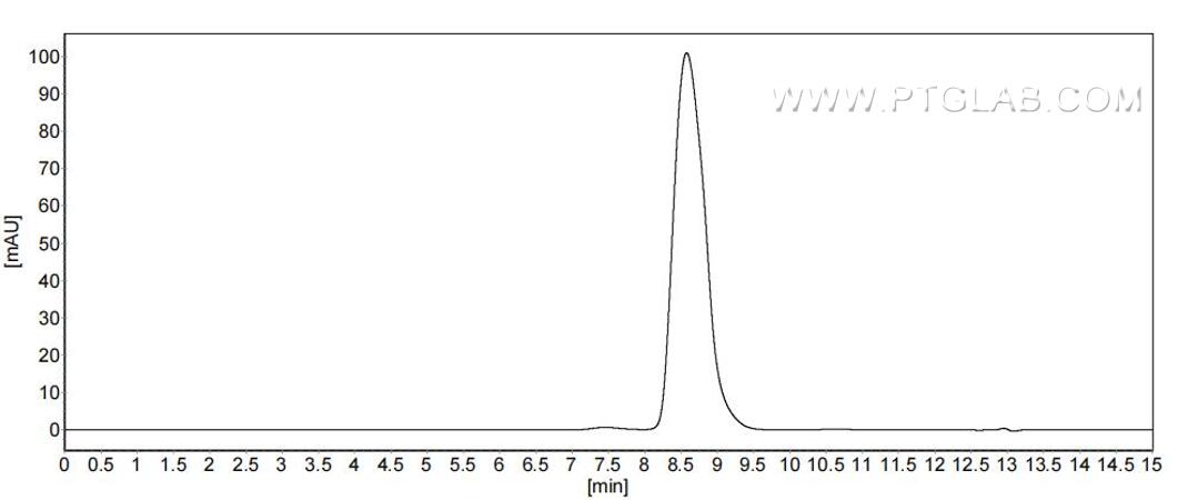 The purity of Human LGALS3BP was greater than 90% as determined by SEC-HPLC.