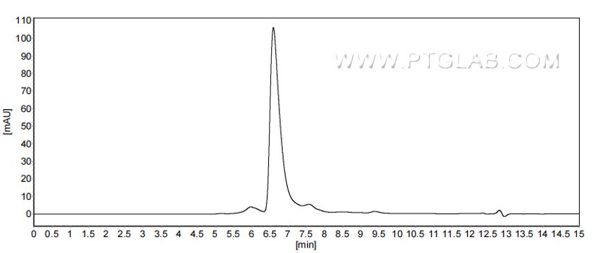 The purity of Rat Agrin was greater than 90% as determined by SEC-HPLC. The purity of Rat Agrin was greater than 90% as determined by SEC-HPLC.