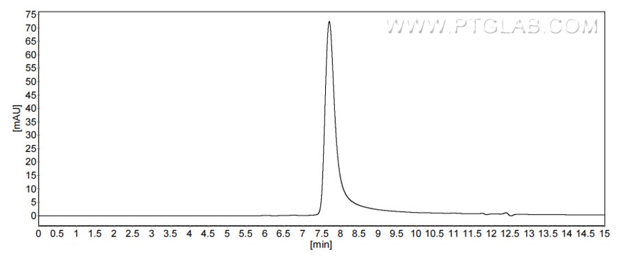 The purity of Human CXCL2 was greater than 90% as determined by SEC-HPLC. The purity of Human CXCL2 was greater than 90% as determined by SEC-HPLC.