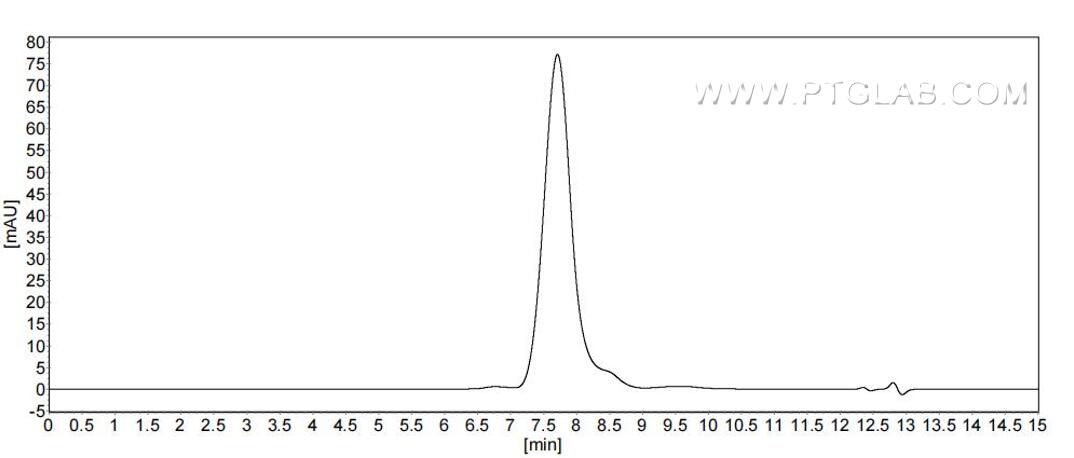 The purity of Rat CD86 was greater than 90% as determined by SEC-HPLC.