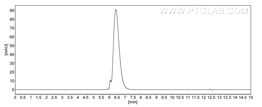 The purity of Human CD13 was greater than 90% as determined by SEC-HPLC.