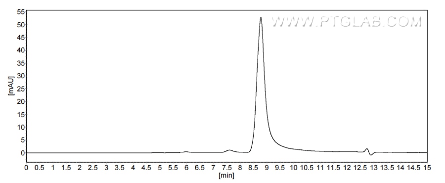 The purity of Human Granzyme A was greater than 90% as determined by SEC-HPLC.