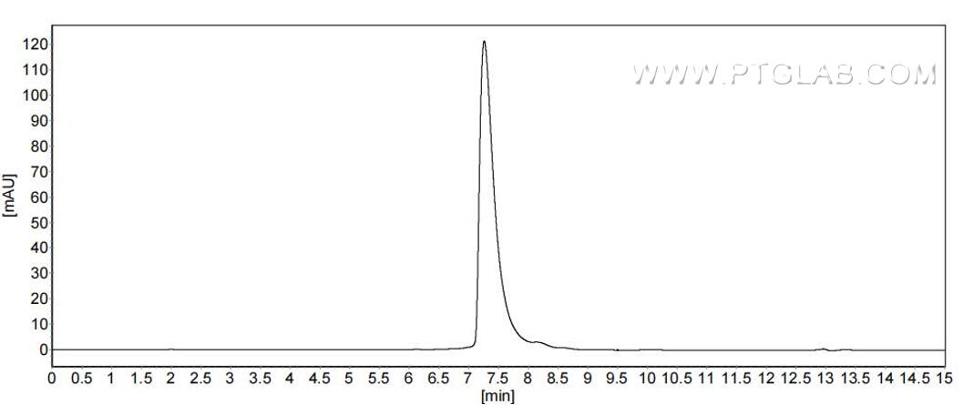 The purity of Human JAM2 was greater than 90% as determined by SEC-HPLC.