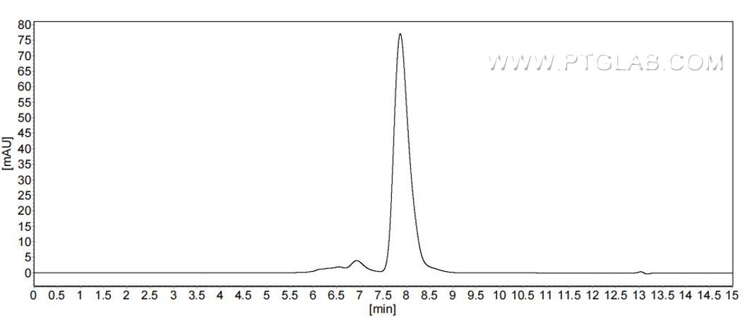 The purity of Human Ephrin B1 was greater than 90% as determined by SEC-HPLC.