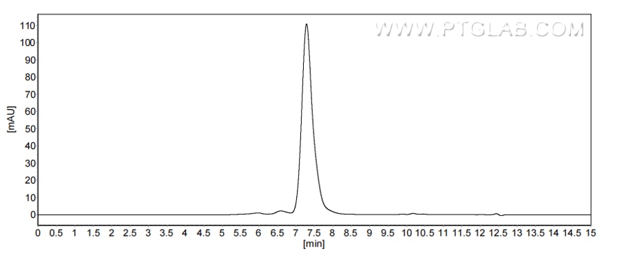 The purity of Human CCL23 was greater than 90% as determined by SEC-HPLC. The purity of Human CCL23 was greater than 90% as determined by SEC-HPLC.