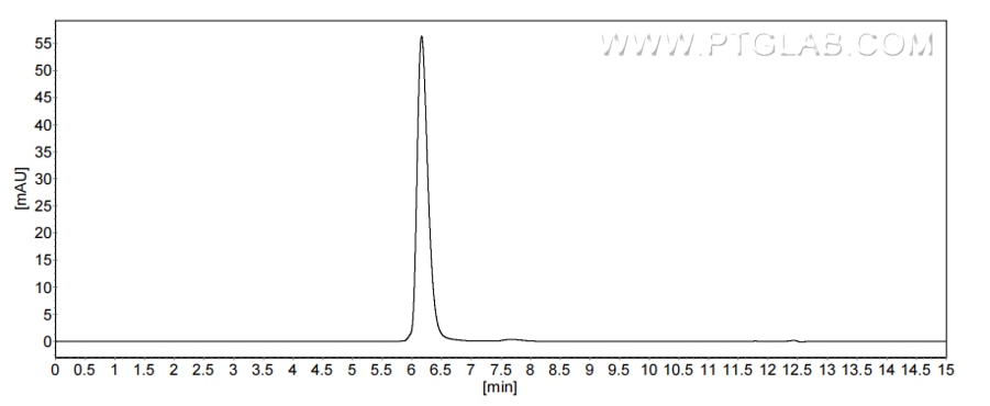 The purity of Human CD55 was greater than 90% as determined by SEC-HPLC.