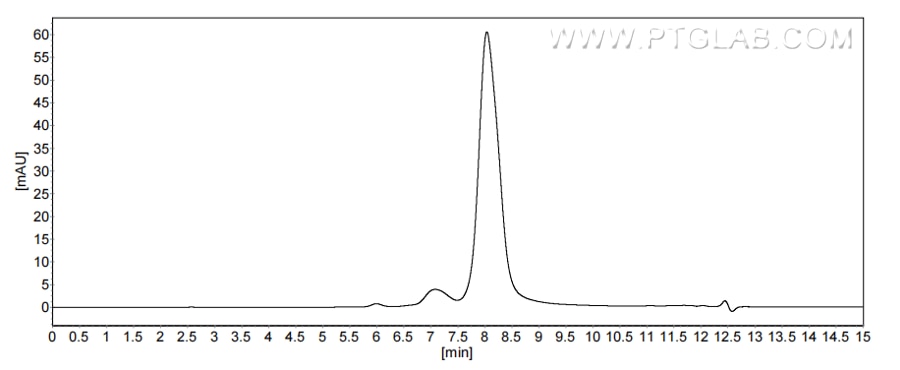 The purity of Canine CXCL8/IL-8 was greater than 90% as determined by SEC-HPLC. The purity of Canine CXCL8/IL-8 was greater than 90% as determined by SEC-HPLC.