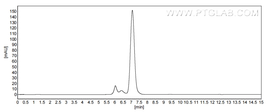 The purity of Canine IL-2 was greater than 90% as determined by SEC-HPLC. The purity of Canine IL-2 was greater than 90% as determined by SEC-HPLC.