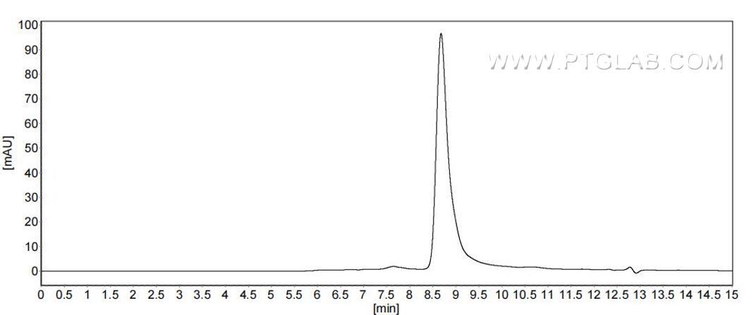 The purity of Mouse CCL7 was greater than 90% as determined by SEC-HPLC.