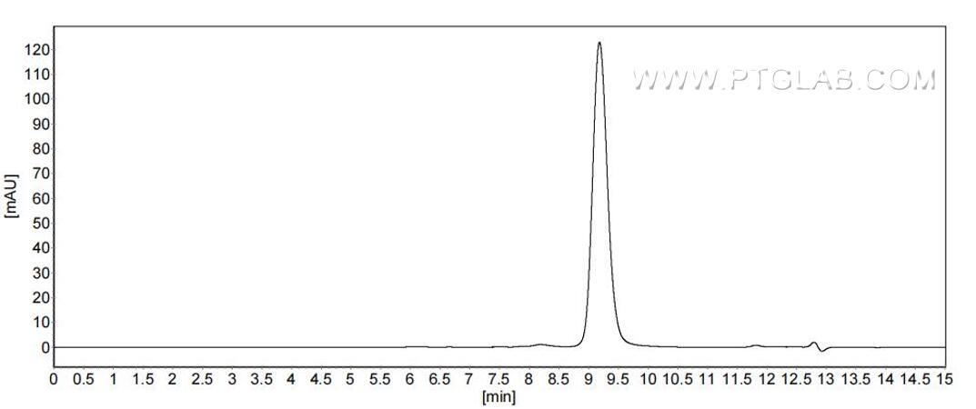 The purity of Human Lysozyme was greater than 90% as determined by SEC-HPLC.