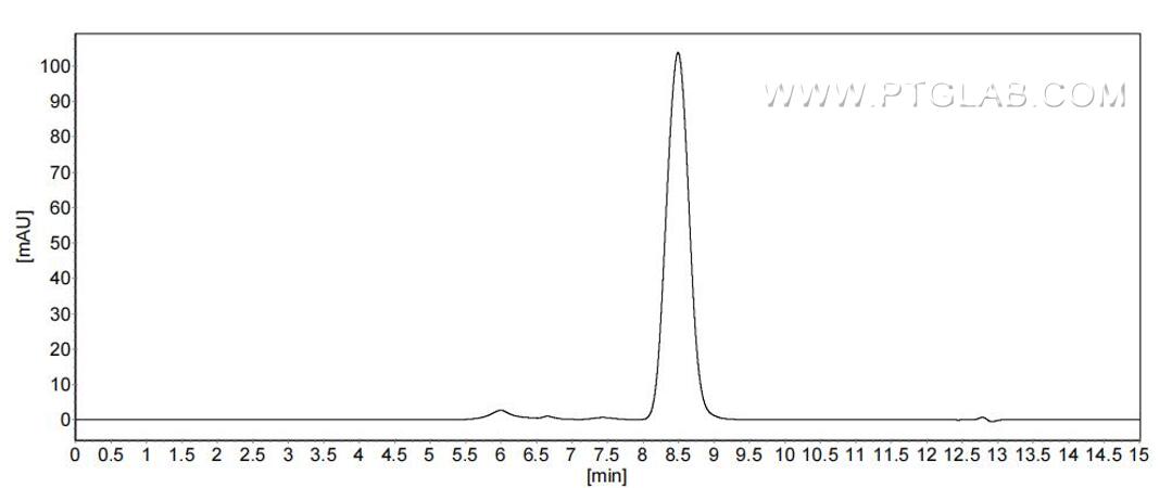 The purity of Mouse Interferon alpha 13 was greater than 90% as determined by SEC-HPLC. The purity of Mouse Interferon alpha 13 was greater than 90% as determined by SEC-HPLC.