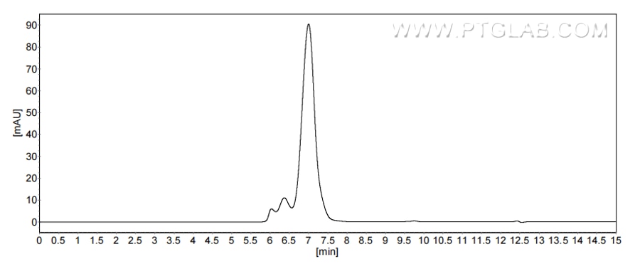 The purity of Human IL-16 was greater than 90% as determined by SEC-HPLC.