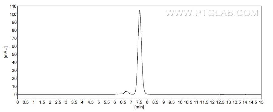The purity of Human Cystatin SN/CST1 was greater than 90% as determined by SEC-HPLC. The purity of Human Cystatin SN/CST1 was greater than 90% as determined by SEC-HPLC.