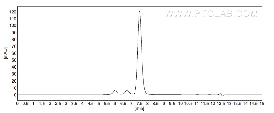 The purity of Human IFNA5 was greater than 90% as determined by SEC-HPLC. The purity of Human IFNA5 was greater than 90% as determined by SEC-HPLC.
