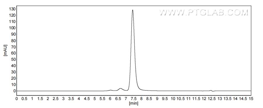 The purity of Human IFNA4 was greater than 90% as determined by SEC-HPLC.