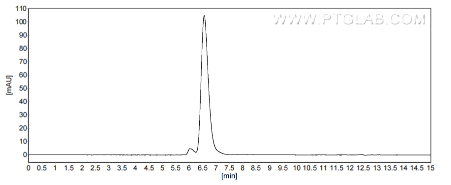The purity of Human CLEC5A was greater than 90% as determined by SEC-HPLC.