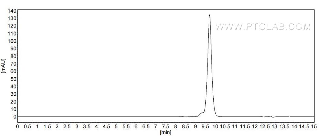 The purity of Mouse CXCL10 was greater than 90% as determined by SEC-HPLC.