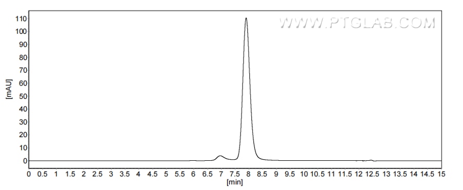 The purity of Human CCL8/MCP-2 was greater than 90% as determined by SEC-HPLC. The purity of Human CCL8/MCP-2 was greater than 90% as determined by SEC-HPLC.