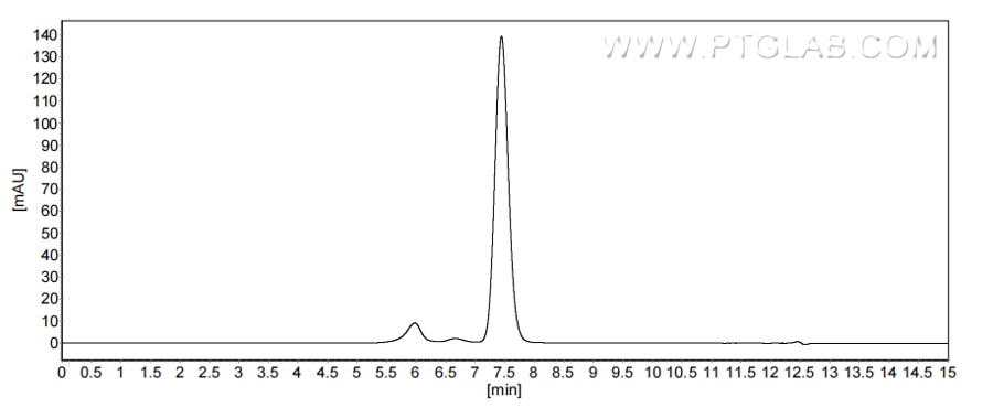 The purity of Human IFNA21 was greater than 90% as determined by SEC-HPLC. The purity of Human IFNA21 was greater than 90% as determined by SEC-HPLC.