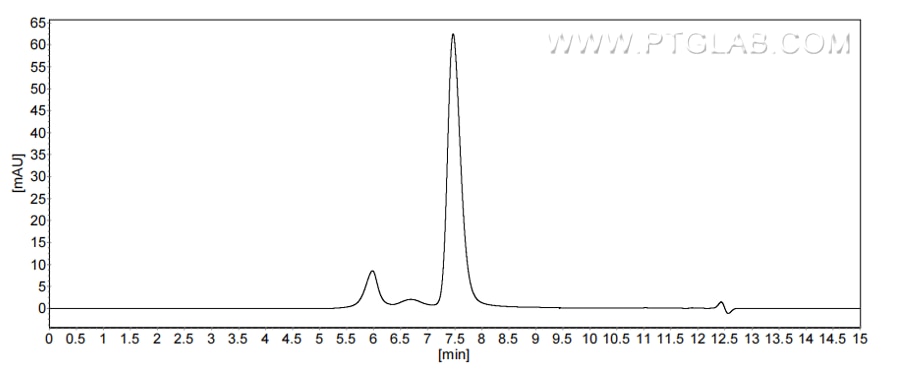 The purity of Human IFNA16 was greater than 90% as determined by SEC-HPLC. The purity of Human IFNA16 was greater than 90% as determined by SEC-HPLC.
