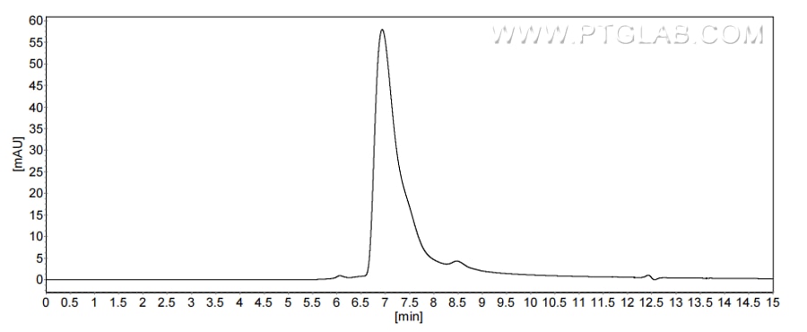 The purity of Mouse CD32B/Fcgr2b was greater than 90% as determined by SEC-HPLC.
