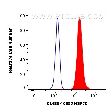 Flow cytometry (FC) experiment of HeLa cells using CoraLite® Plus 488-conjugated HSP70 Polyclonal ant (CL488-10995)